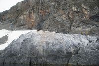 
DSC00156